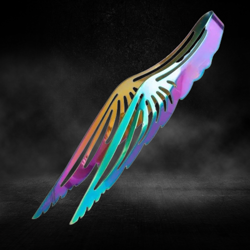 charcoal_tong_angelic_rainbow_wings_1